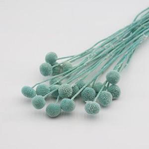 billy buttons tiffany blue