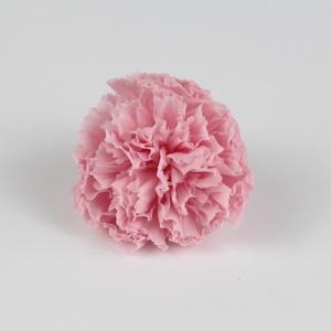 carnation stabilized pink