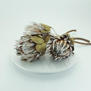 dried King Protea