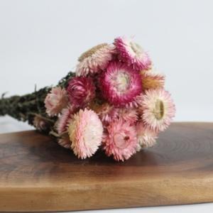 natural strawflower