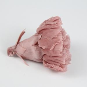 preserved carnation nude pink