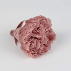 preserved carnation 