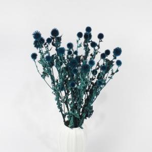 preserved globe thistle blue