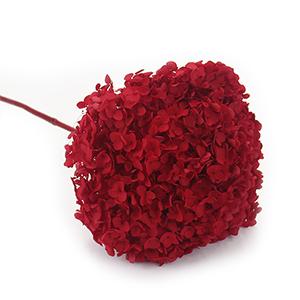 preserved hydrangea -red matching