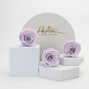 preserved rose lilac