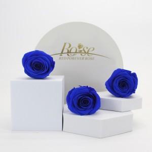 preserved rose royal blue
