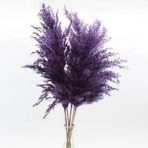 reed small dark purple