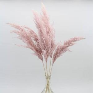 reed small pink