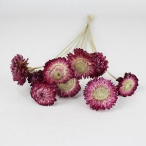 strawflower handmade